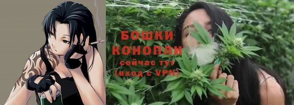 ALPHA PVP Богородицк