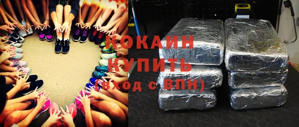 ALPHA PVP Богородицк